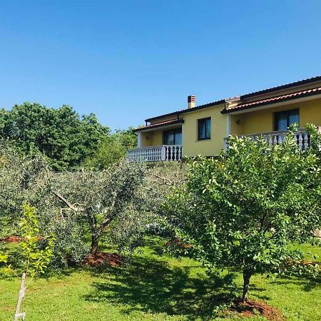 Apartmani Ulika ウマグ エクステリア 写真