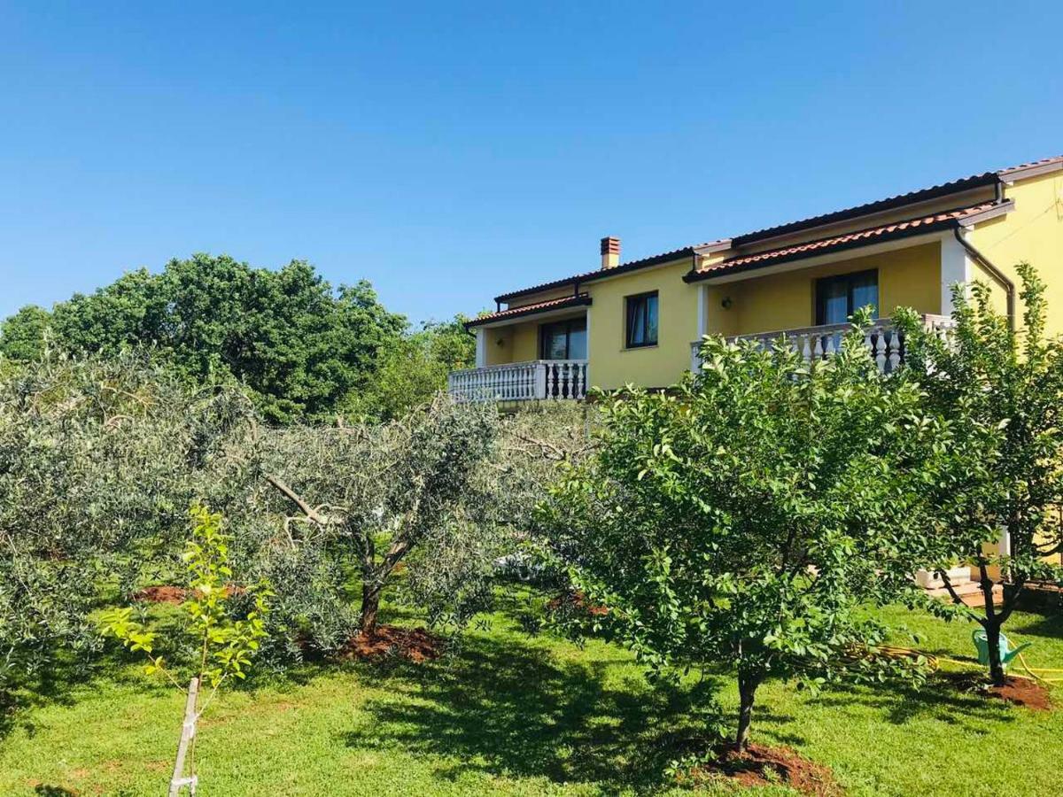 Apartmani Ulika ウマグ エクステリア 写真