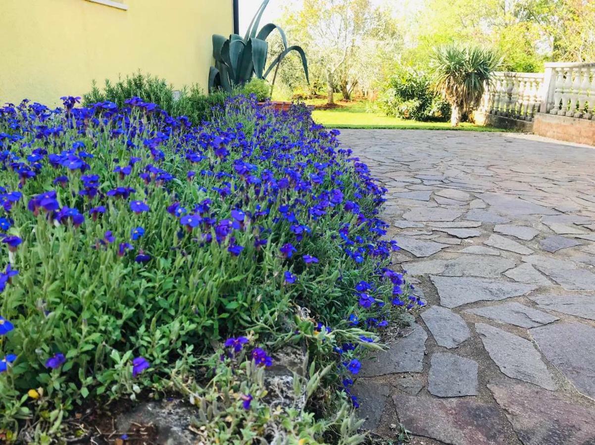 Apartmani Ulika ウマグ エクステリア 写真