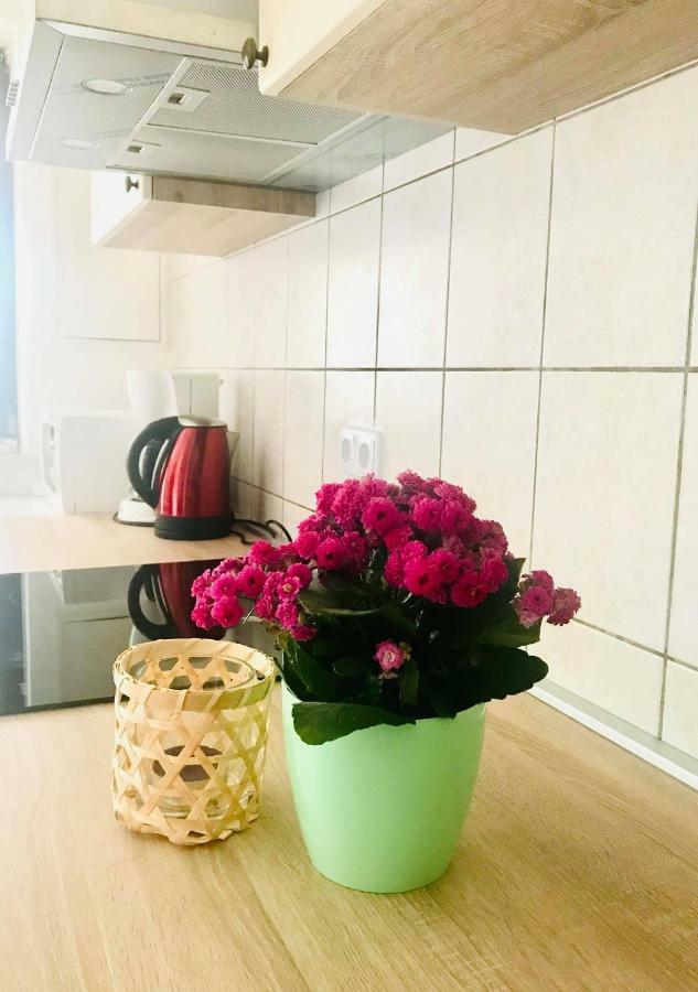 Apartmani Ulika ウマグ エクステリア 写真
